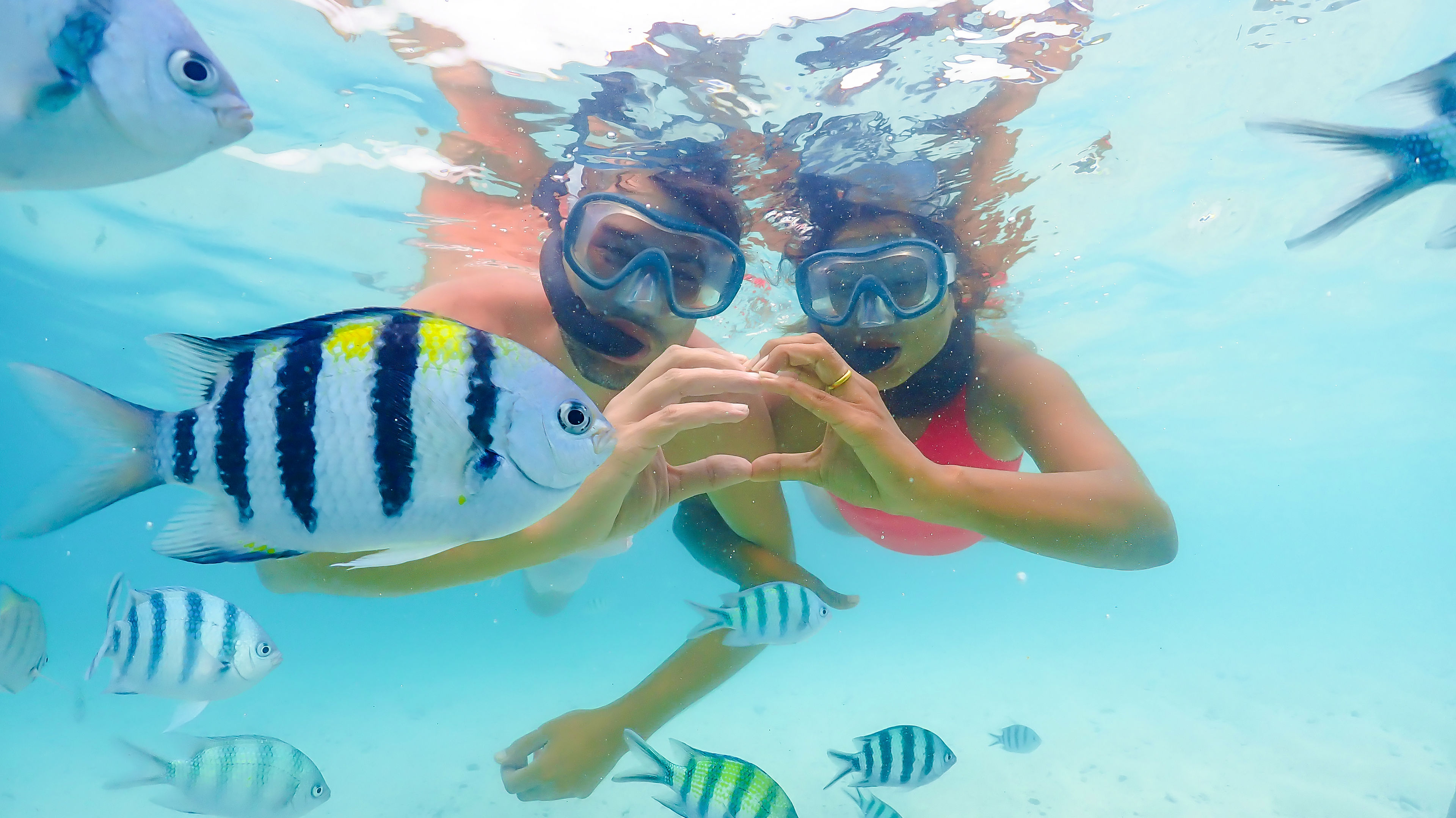 A couple is snorkelling underwater