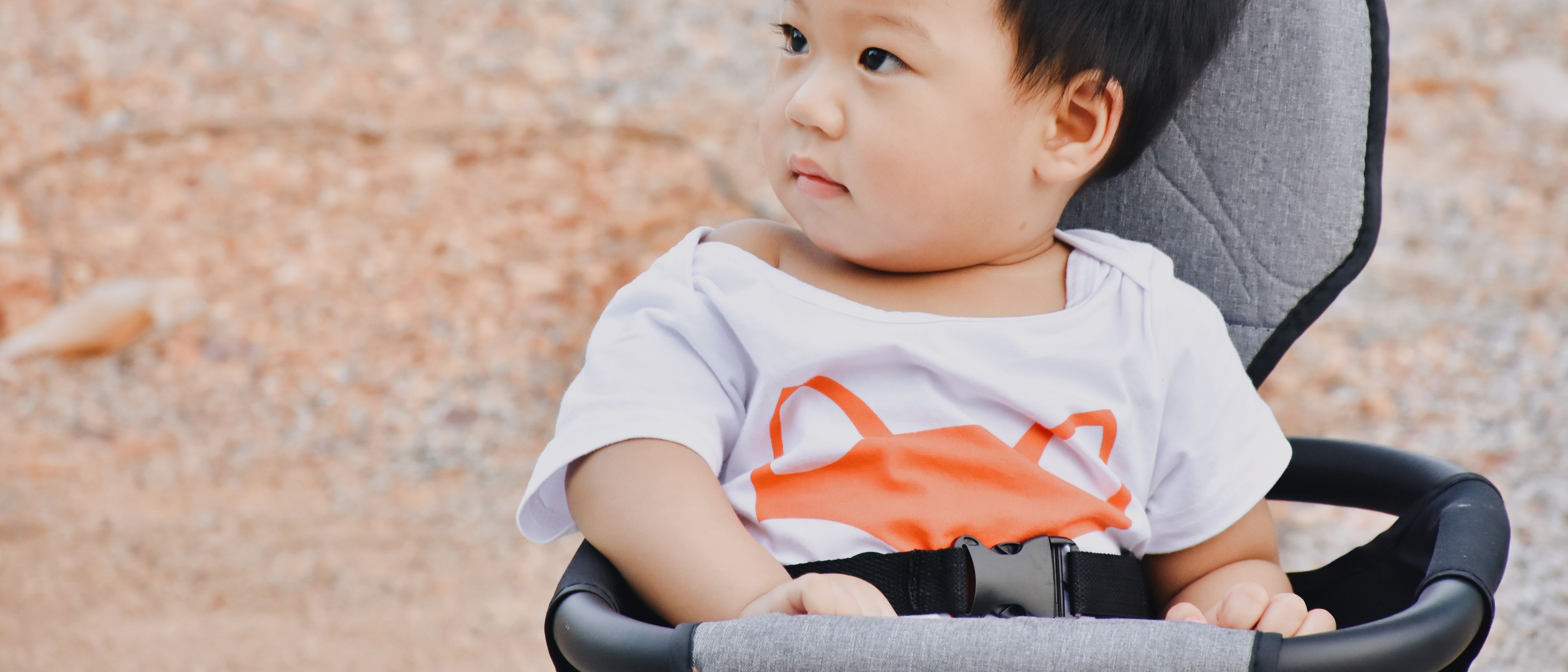 Baby on a stroller