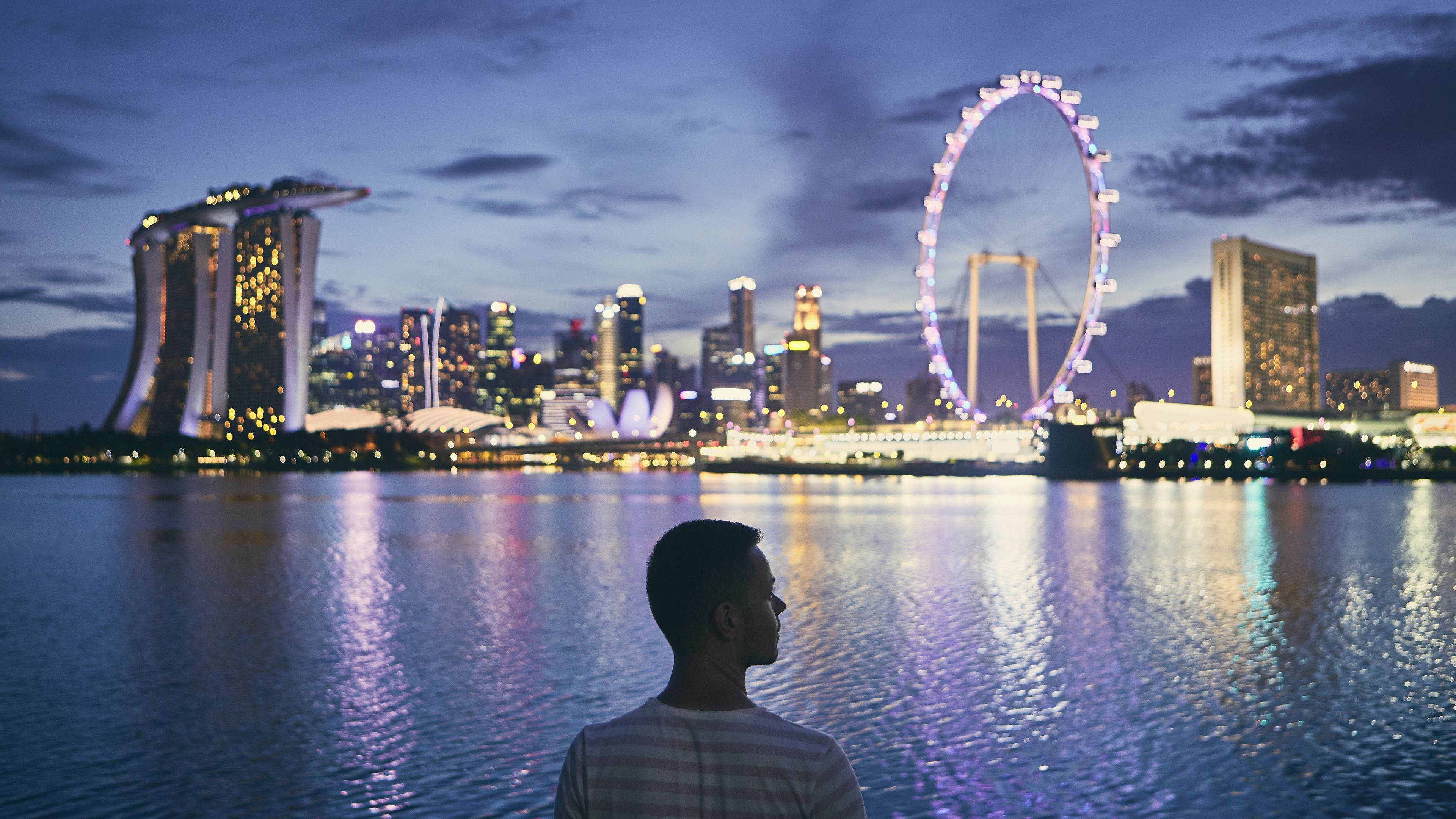 Back view of a man looking at the Singapore lights 