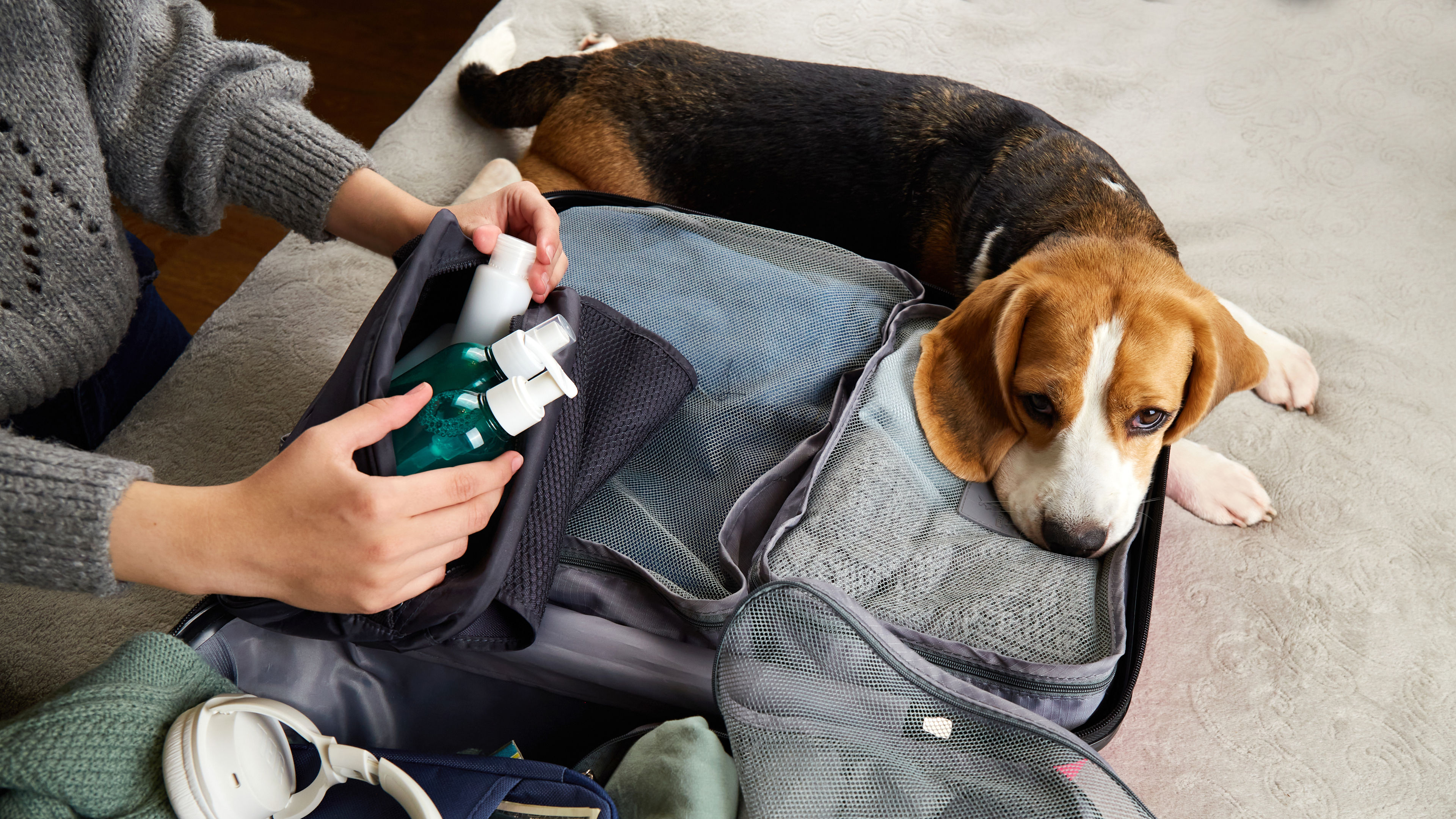 The girl is packing a suitcase for the trip 