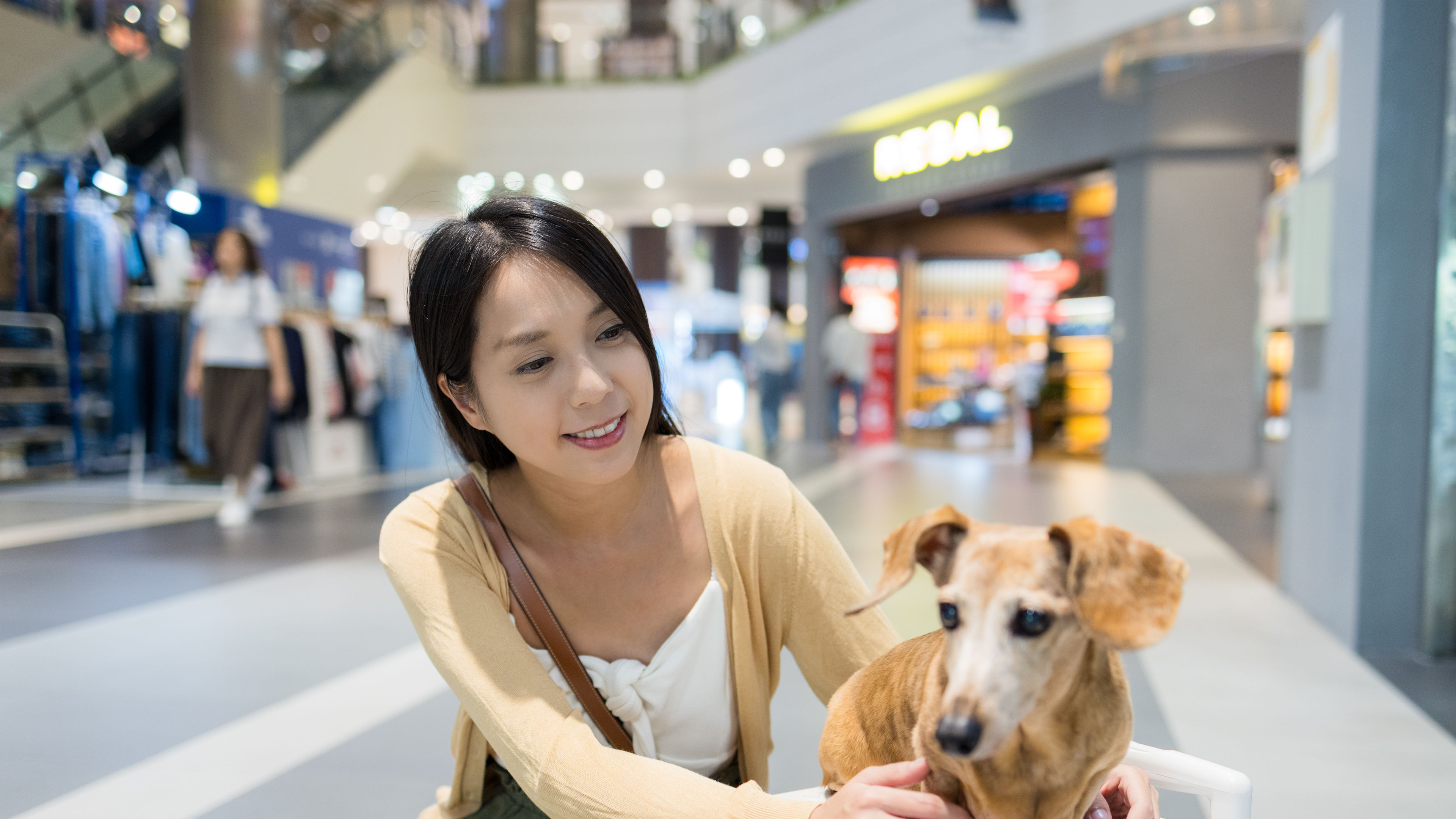 Woman go out with her dachshund dog